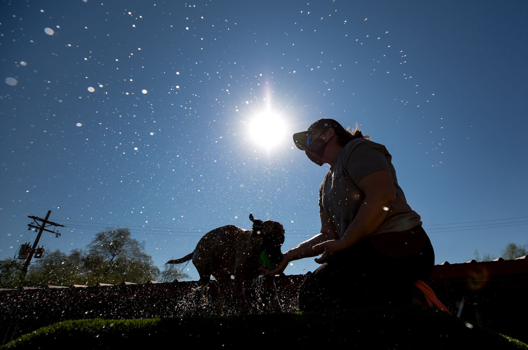 Diving Dogs at Elevate Dog Center